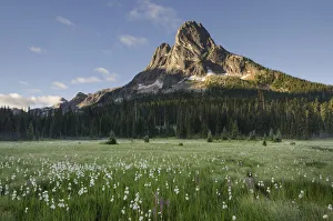 Liberty Bell Mountain seen from meadows of Washington Pass, North Cascades, Washington