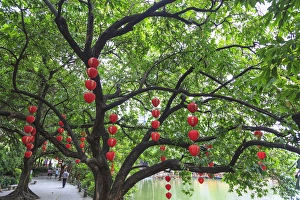 Lichi Bay Walkway and Park, Guangzhou, China