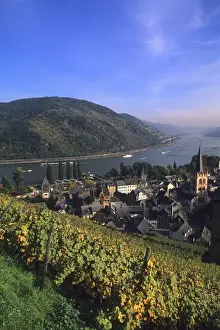 Images Dated 15th December 2004: Life in Germany in wine country on the famous Rhine River in the wine fields above