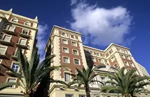Palms Prints: Life in Spain Southern Coast Costa del Sol modern city architecture downtown near