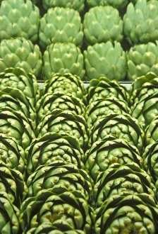 Artichoke Prints: Lifestyle