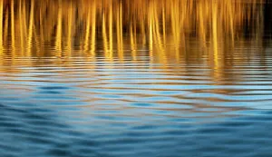 Relaxation Prints: Last light of the day on the banks of the Flathead River in Kalispell, Montana, USA