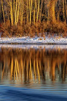 Last light of the day on the banks of the Flathead River in Kalispell, Montana, USA