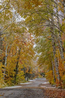 Gravel Road Prints: Light snowfall on Wyoming Road near Copper Harbor in the Upper Peninsula of Michigan, USA
