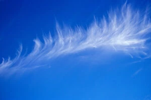 A light whispy cloud hang in the bright blue sky