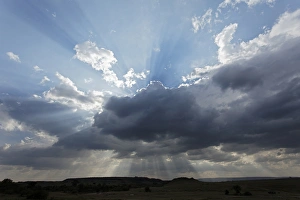 Images Dated 31st August 2011: Lightbeams streaming through clouds, Masai Mara, Kenya, Africa