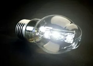 Lighted bulb