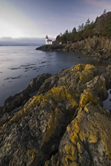 Images Dated 16th January 2009: Lighthouse at Lime Kiln State Park, San Juan Island, Washington, US