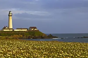 Images Dated 10th May 2010: Lighthouse at Pigeon Point State Beach in San Mateo county, California, USA