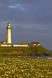 Images Dated 10th May 2010: Lighthouse at Pigeon Point State Beach in San Mateo county, California, USA