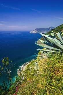 Path Prints: The Ligurian Sea from the Sentiero Azzurro (Blue Trail) near Vernazza, Cinque Terre