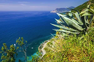 Images Dated 2nd April 2020: The Ligurian Sea from the Sentiero Azzurro (Blue Trail) near Vernazza, Cinque Terre