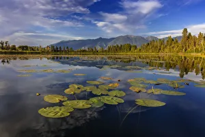 Wetlands Prints: Lilly pads and Swan Range reflects into McWennger Slough near Kalispell, Montana, USA