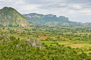 Karst Formation Prints: The limestone cliffs of the Vinales Valley, Valle de Vinales in Pinar del Rio, Cuba