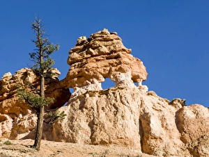 Bryce Prints: Limestone formation. Bryce Canyon National Park. Utah. US