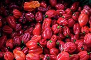 Lisbon Prints: Lisbon, Portugal. Fresh produce on display at local farmers market