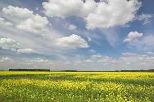 Horizon Over Land Prints: Lithuania, Central