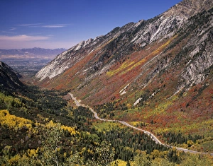 Wasatch Prints: Little Cottonwood Highway (S. R. 210), State Designated Scenic Byway, Fall Foliage