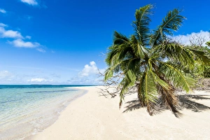 Tonga Prints: Little island with a white sand beach in Haa'apai