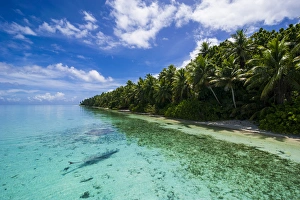 Images Dated 13th May 2011: Little islet and turquoise water in the Ant Atoll, Pohnpei, Micronesia