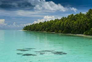 Islet Prints: Little islet and turquoise water in the Ant Atoll, Pohnpei, Micronesia