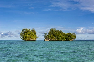 Little rock islet in the famous Rock islands, Palau, Central Pacific