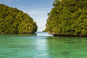 Images Dated 18th May 2011: Little rock islet in the famous Rock islands, Palau, Central Pacific