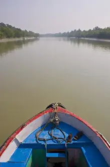 Kayak Prints: Little rowing boat in the swampy areas of the Unesco world heritage sight Sundarbans