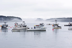 Buoy Prints: Lobster and fishing boats at Cutler, Maine, USA
