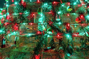 Images Dated 26th June 2024: Lobster trap Christmas tree, Musquodoboit Harbour