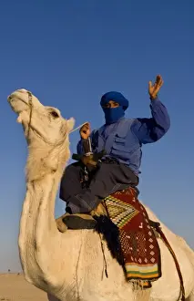 Images Dated 16th January 2021: Local Bedouin man on camel ride in Douz in Sahara Desert in Tunisia Africa
