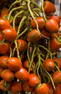 Vege Table Prints: Local fruit foir sale in Central Market with fruits and vegetables in Pavas section