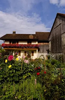 Liechtenstein Prints: Local home with flowers in Balzers in small remote country of Leichtenstein