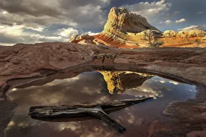Swirl Prints: A log in a pool reflect white pockets area in northern Arizona