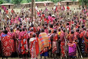 Lolgorian, Kenya. Siria Maasai Manyatta; mass of women with sticks prepared ready