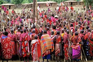 Build Prints: Lolgorian, Kenya. Siria Msai Manyatta; mass of women with sticks prepared ready