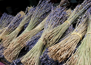 Lavender Prints: London, England, Great Britain