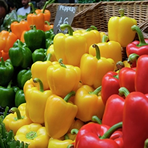 Vegetable Prints: London, England, Great Britain