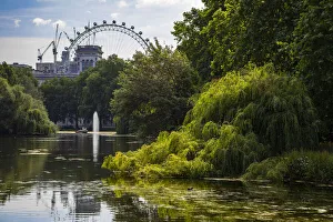Ferris Wheel Prints: London Eye reflection on the lake in Victoria Park, United Kingdom