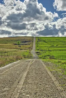 Fence Line Prints: Lonely road going through the Flint Hills of Kansas