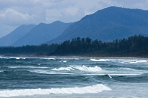 Images Dated 30th April 2006: Long Beach, Pacific Rim National Park Reserve, Tofino, Vancouver Island, British Columbia