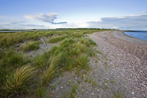 Atmosphere Prints: Long Beach in Stratford, Connecticut. Adjacent to the Great Meadows Unit of McKinney