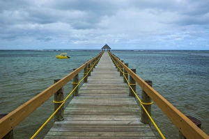 Images Dated 9th July 2011: Long wooden pier, Coral Coast, Viti Levu, Fiji, South Pacific
