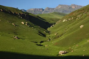 Images Dated 10th November 2007: Longwall, Giants Castle, Drakensberg Mountains, Central Berg, South Africa