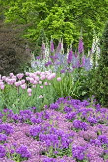 Images Dated 11th May 2015: Longwood Gardens, spring flowers, Kennett Square, Pennsylvania, USA