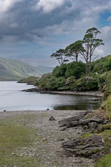 Betty Sederquist Prints: Loo Dough is a beautiful lake in the Irish highlands