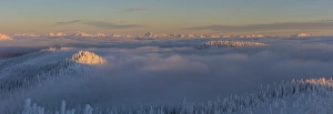 Whitefish Prints: Looking at Flower Point and Glacier Park peaks from the summit of Big Mountain