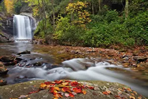 South East Prints: Looking Glass Falls in the Pisgah National Forest in North Carolina