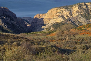 Images Dated 10th April 2012: Looking up pool creek canyon, Dinosaur National Monument, Utah