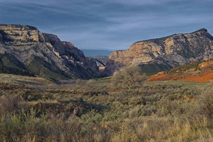 High Desert Prints: Looking up pool creek canyon, Dinosaur National Monument, Utah